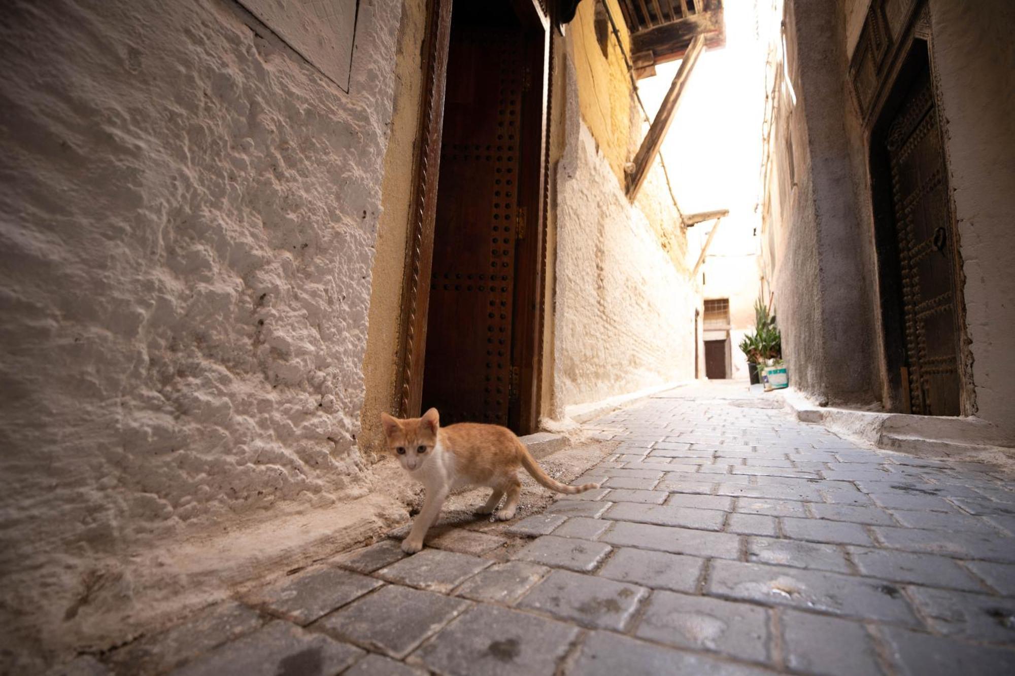 Riad Dar Omar Fez Exterior foto